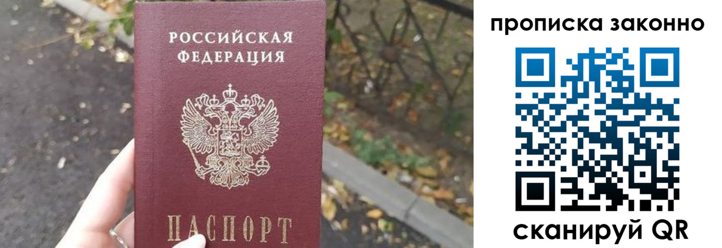 прописка для школы в Коркино